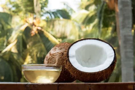 buwa ng niyog benefits|Benepisyo ng niyog: Alamin kung anu.